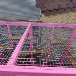 Pink 8FT X 4FT X 6ft High Freestanding Catio Enclosure  Pink 8FT X 4FT X 6ft High Freestanding Catio Enclosure